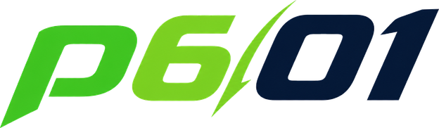 p6 01